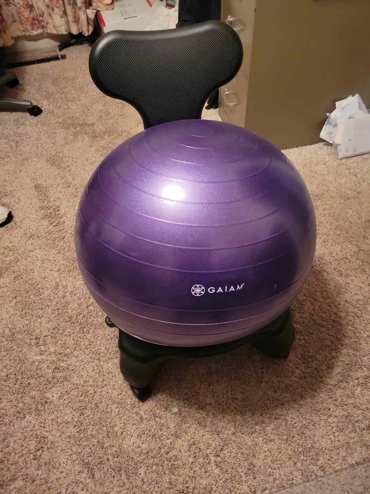 Exercise Ball Chair