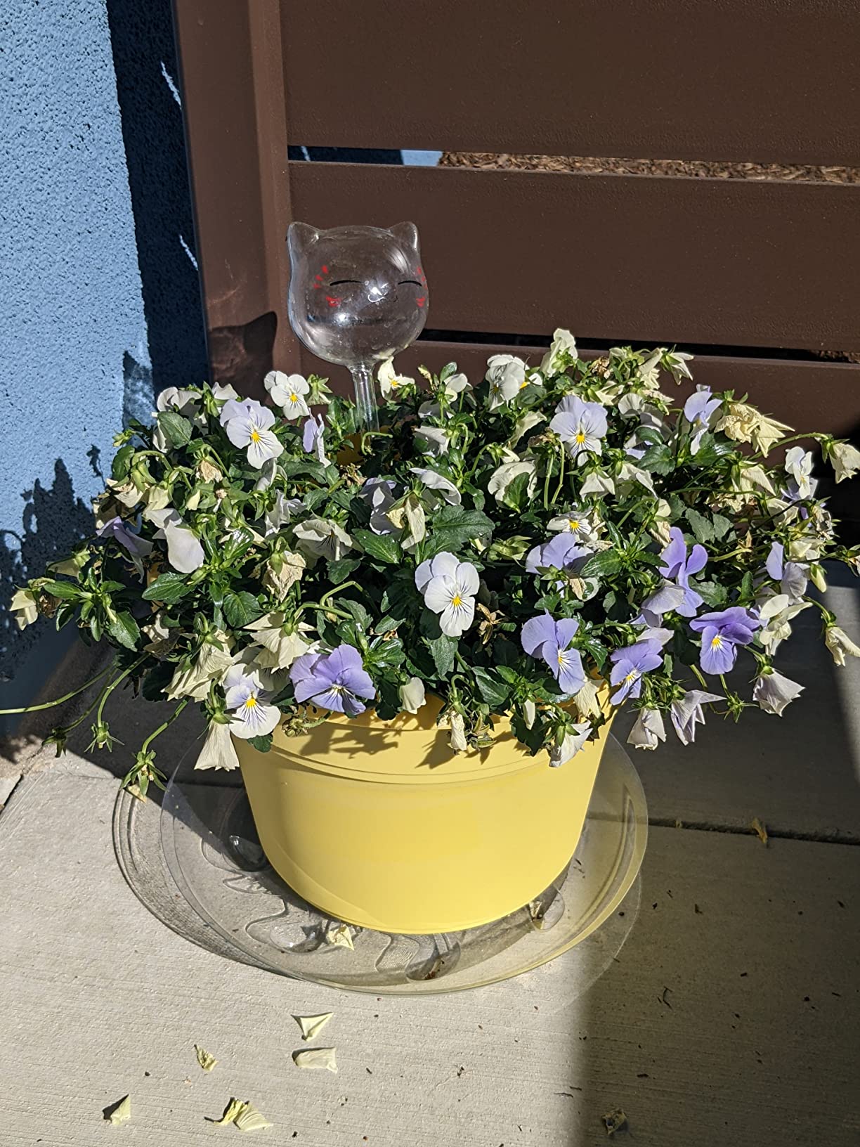 Plant-watering Globes